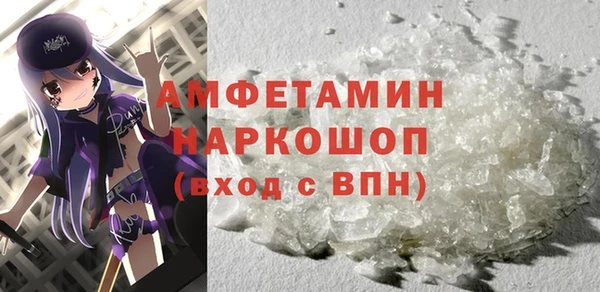 крисы Бородино