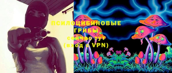 ECSTASY Богданович