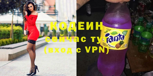 ECSTASY Богданович