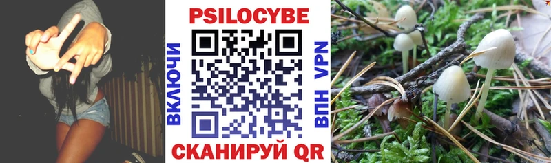 Галлюциногенные грибы ЛСД  что такое   Бирюч 